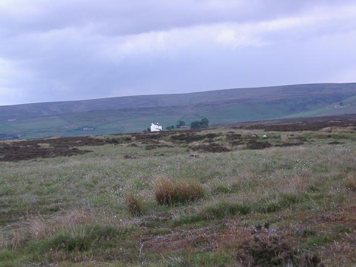 BMWR 2011 031